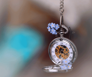 stop-watch-and-forget-me-nots
